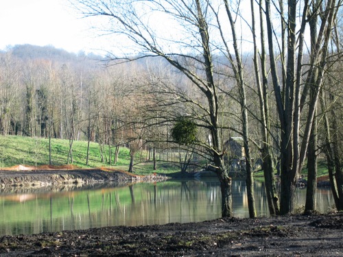 Bassin des Damoiseaux 1