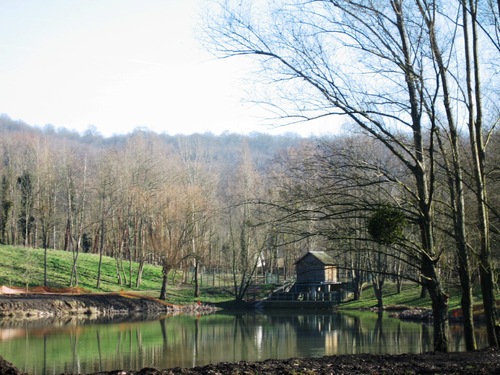 Bassin des Damoiseaux 2